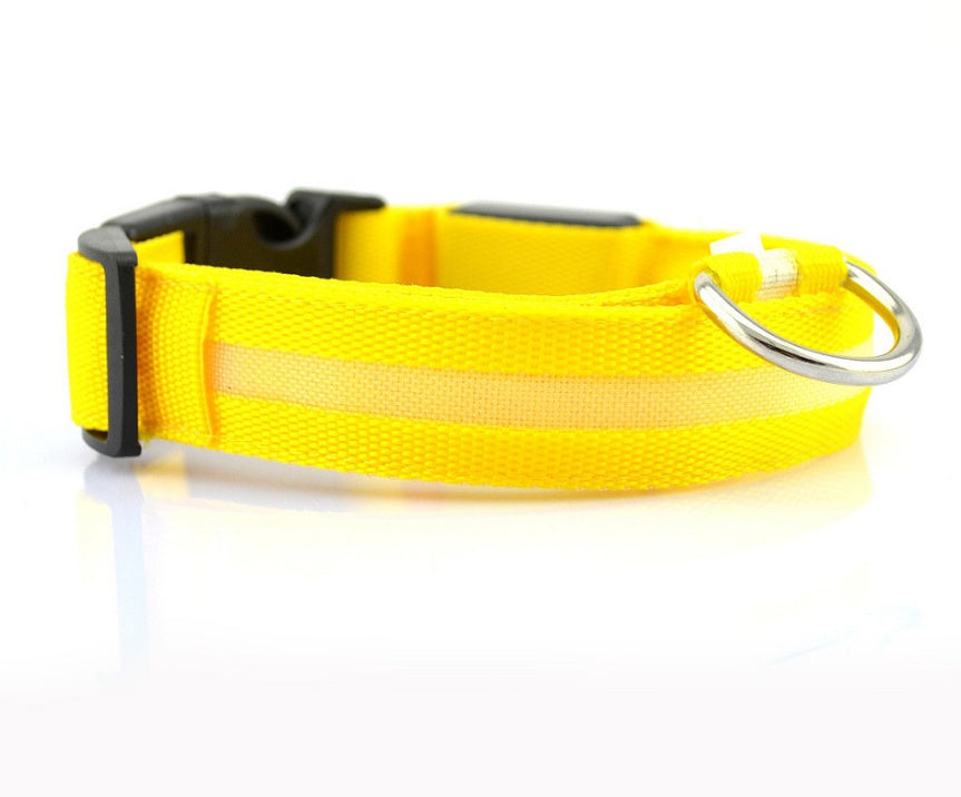 LED Chien Collier Lumineux