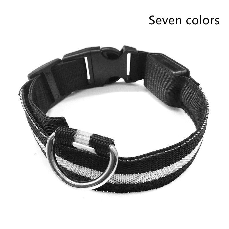 LED Chien Collier Lumineux