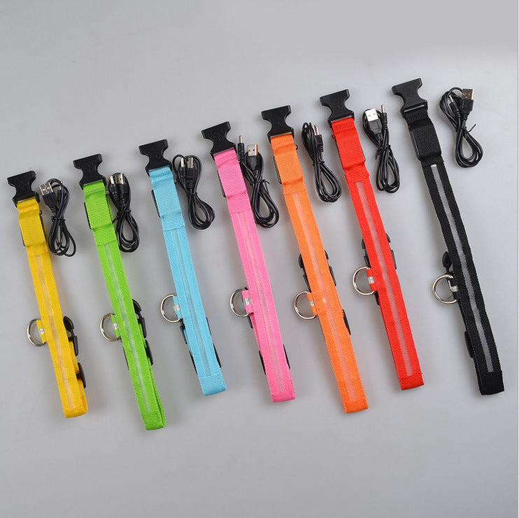 LED Chien Collier Lumineux