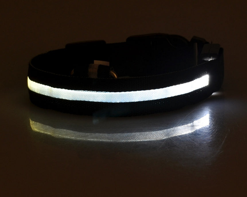 LED Chien Collier Lumineux