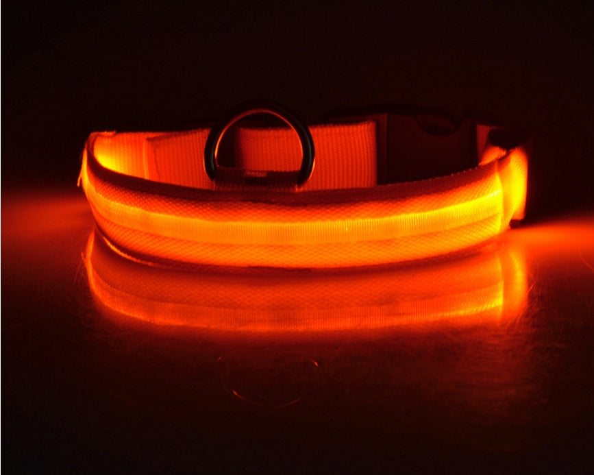 LED Chien Collier Lumineux