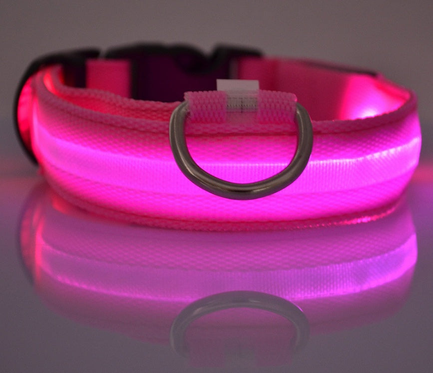 LED Chien Collier Lumineux