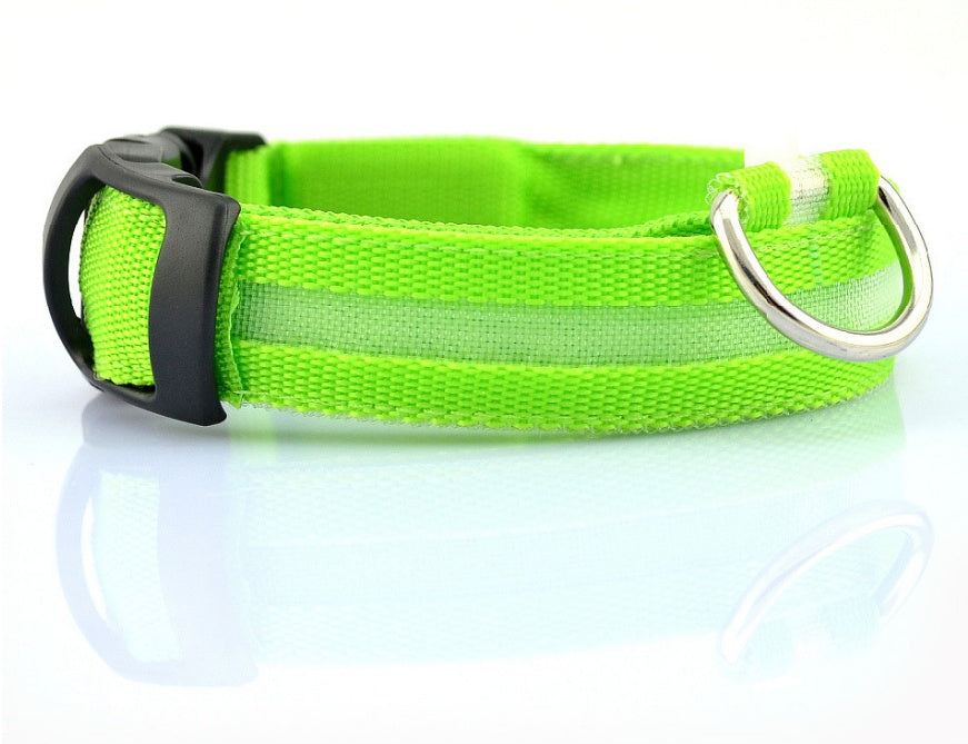 LED Chien Collier Lumineux