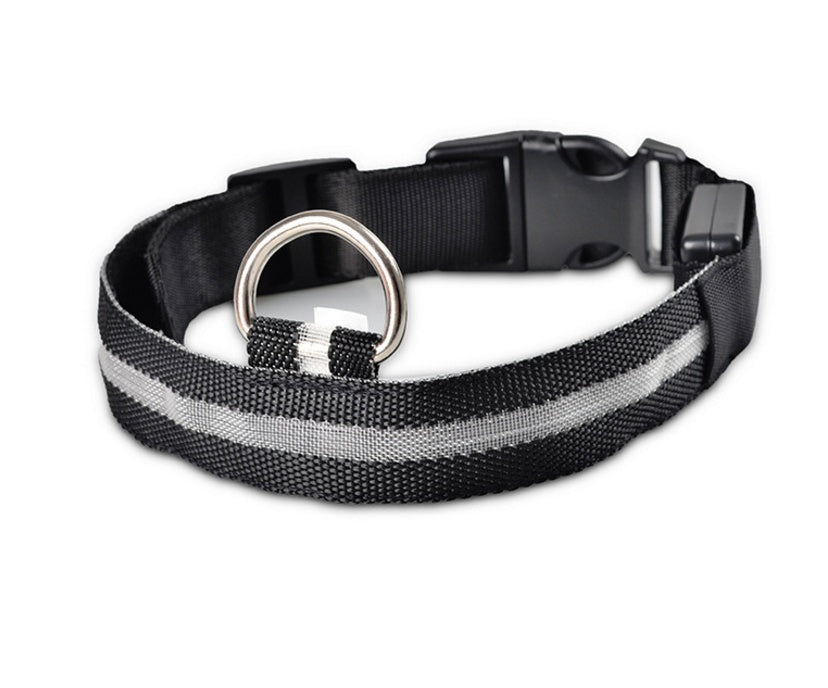 LED Chien Collier Lumineux