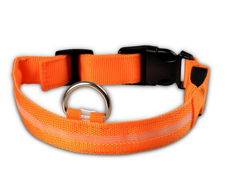 LED Chien Collier Lumineux