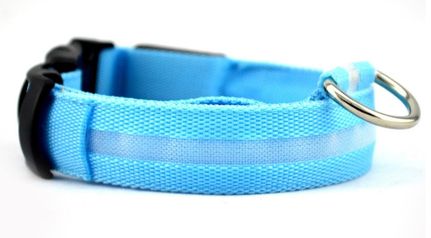 LED Chien Collier Lumineux