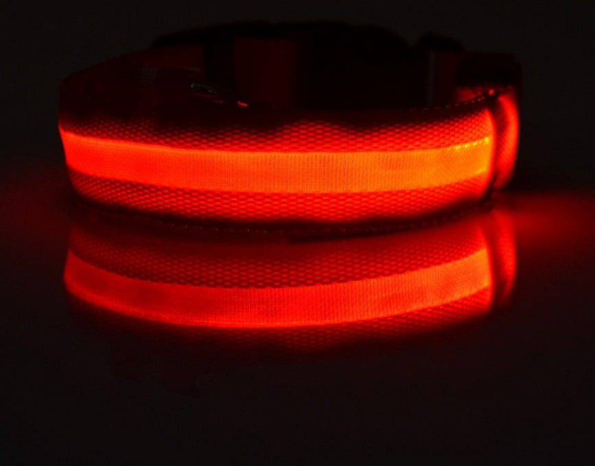 LED Chien Collier Lumineux