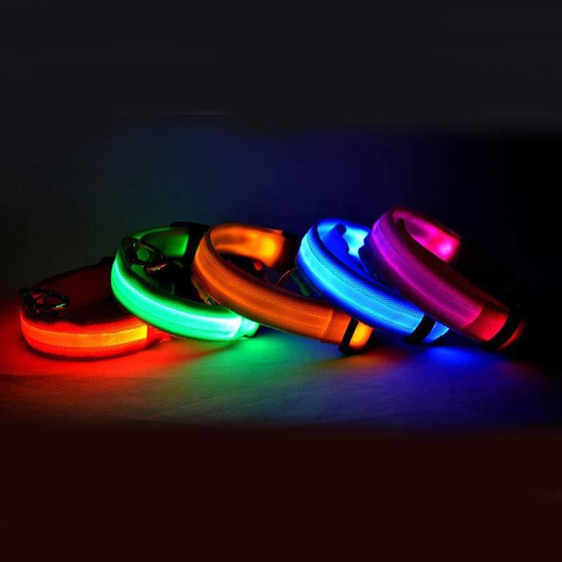LED Chien Collier Lumineux