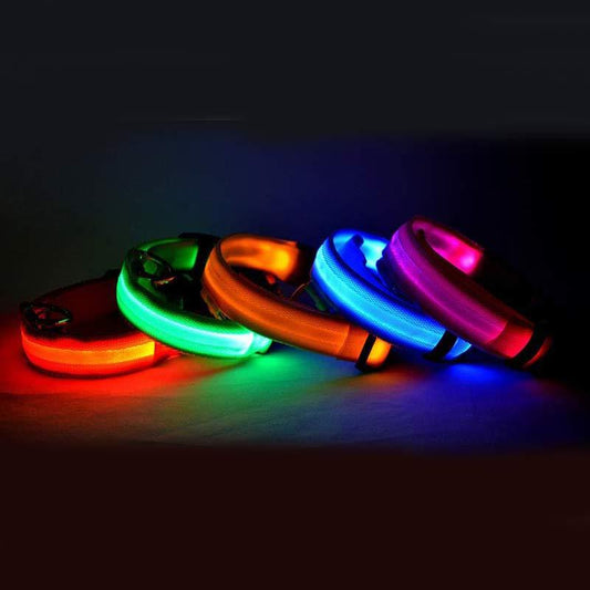 LED Chien Collier Lumineux