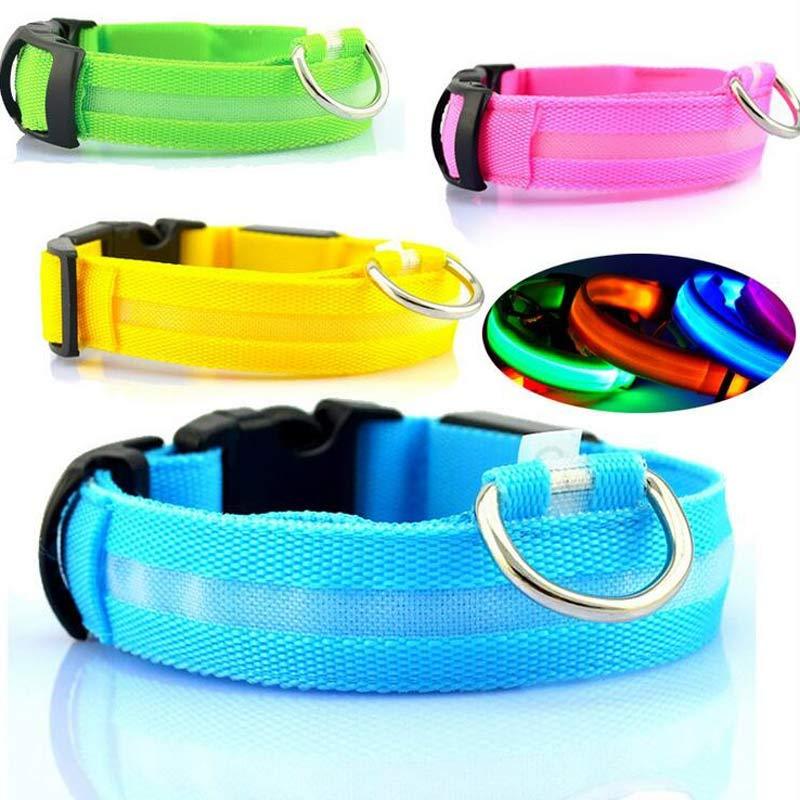 LED Chien Collier Lumineux
