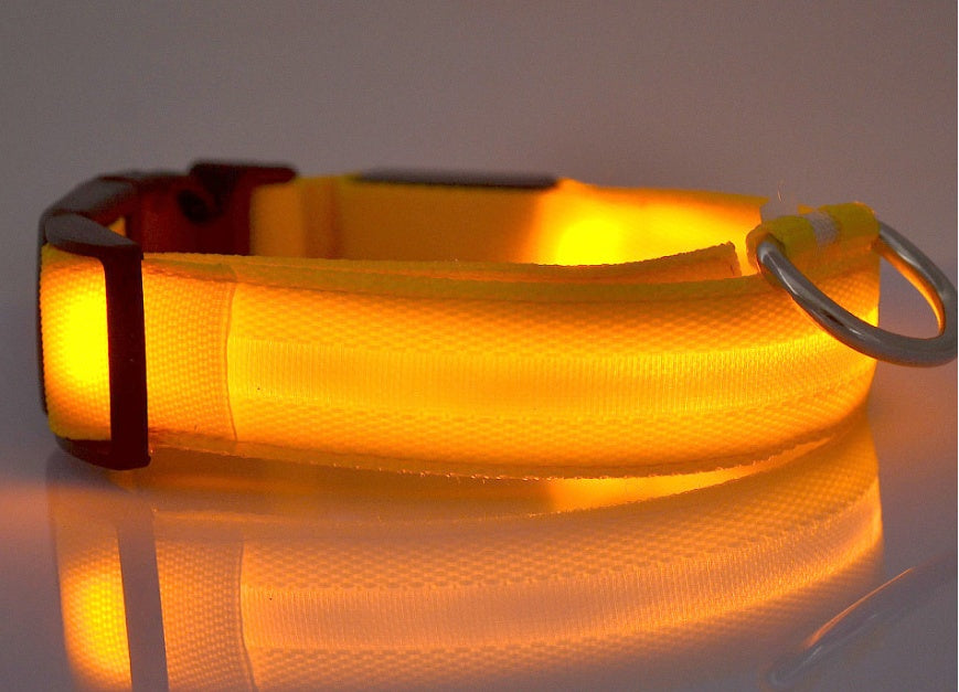 LED Chien Collier Lumineux
