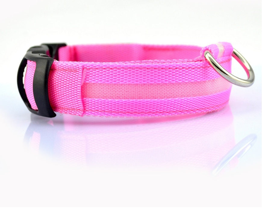 LED Chien Collier Lumineux