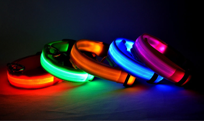 LED Chien Collier Lumineux