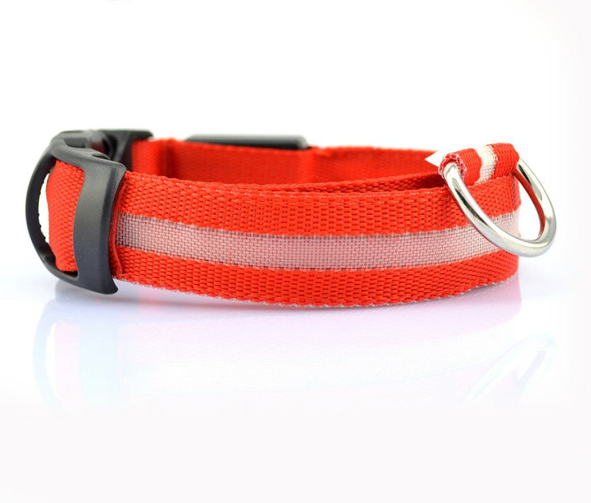 LED Chien Collier Lumineux