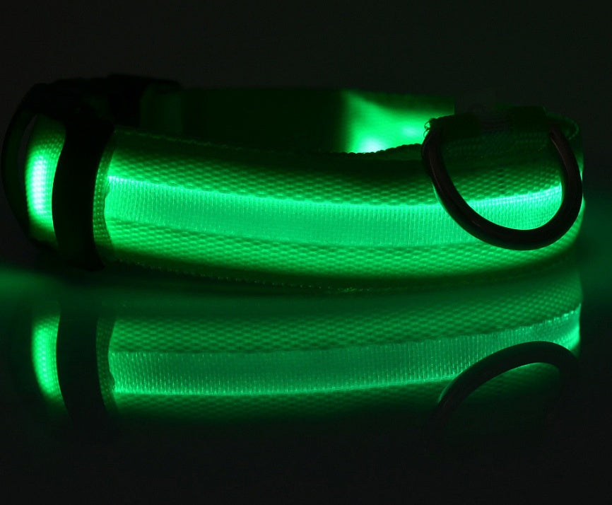 LED Chien Collier Lumineux