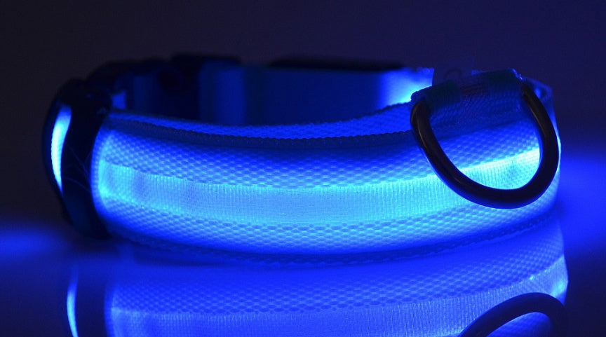 LED Chien Collier Lumineux