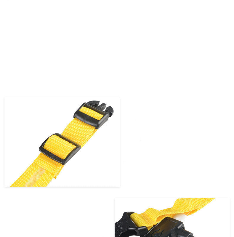 LED Chien Collier Lumineux