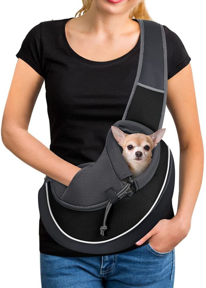 Sortir Et Transporter Votre Chien À Contourner Sac